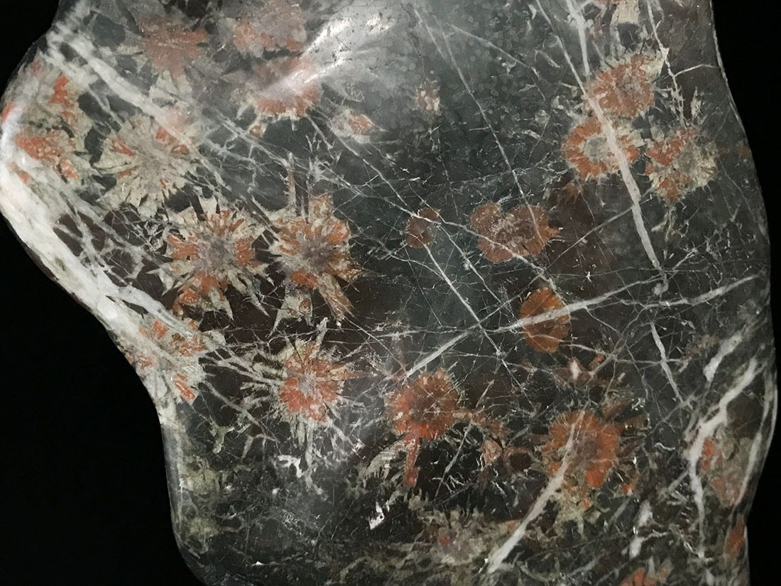 岐阜県根尾谷産 菊花石 (木製台座付き)