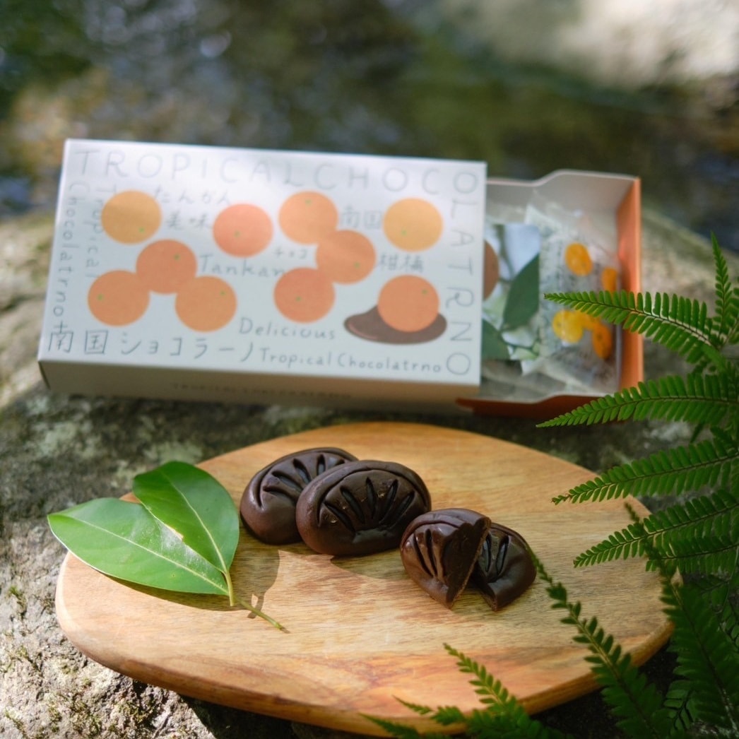 南国ショコラーノ』（6個入）TROPICAL CHOCORATRNO | 果鈴オリジナル