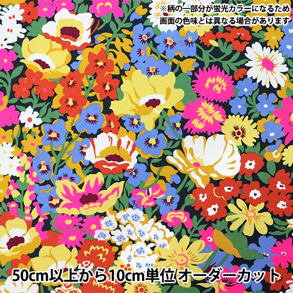 数量5から】 生地 『リバティ・ファブリックス 11号帆布 ロード