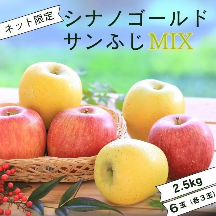 S326 りんご シナノゴールド＆サンふじ MIX 約2.5kg 6玉(各3玉入) 11月