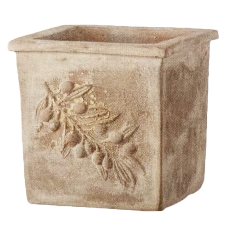 植木鉢 アンティーク調 素焼き テラコッタ鉢 オリーブ スクエアー