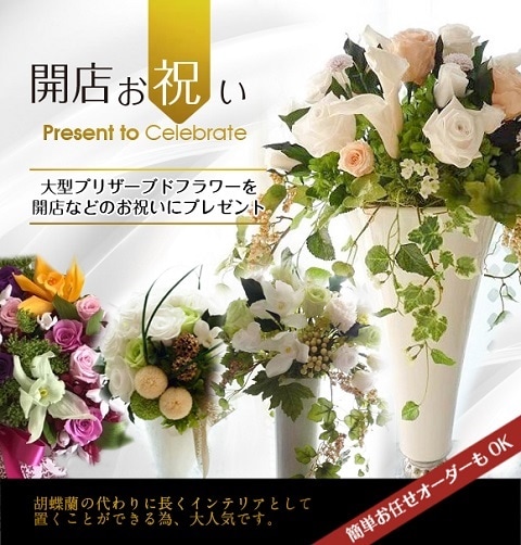 SHAN－DERI JAPON プロのスタッフのみで手がける