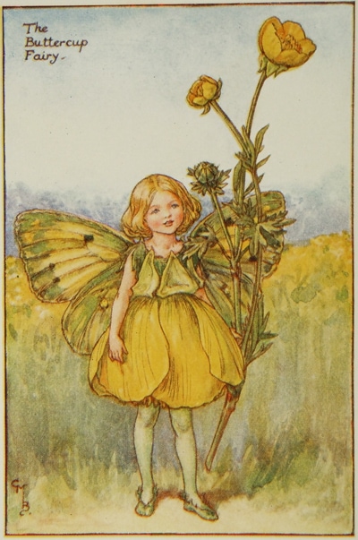 シシリー・メアリー・バーカー 挿画本「花の妖精・夏」 | | アトリエ