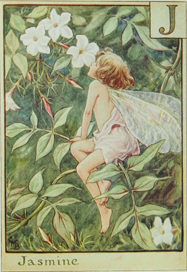 シシリー・メアリー・バーカー 挿画本「花の妖精・アルファベット