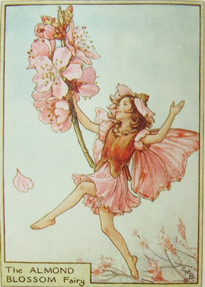 シシリー・メアリー・バーカー 挿画本「花の妖精・木」 | | アトリエ