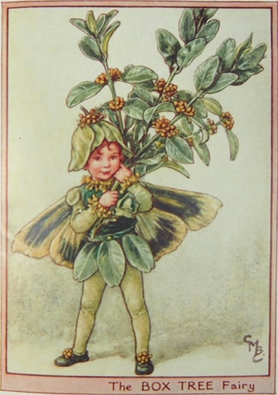 シシリー・メアリー・バーカー 挿画本「花の妖精・木」 | | アトリエ