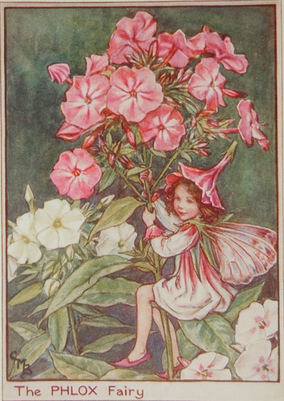 シシリー・メアリー・バーカー 挿画本「花の妖精・庭」 | | アトリエ