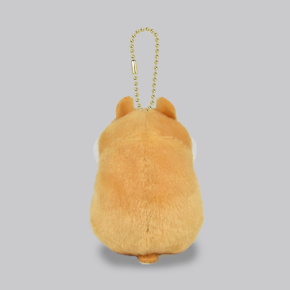 ころはむコロンLMCコロンひまわりのタネ/Coroham coron LMC Coron