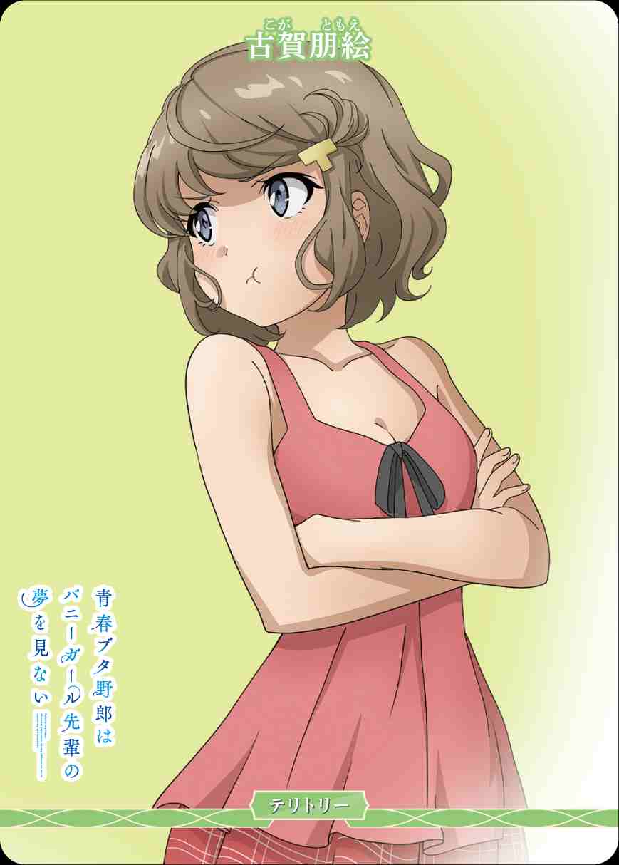 青春ブタ野郎はバニーガール先輩の夢を見ない(古賀朋絵) [N](BB-SBS