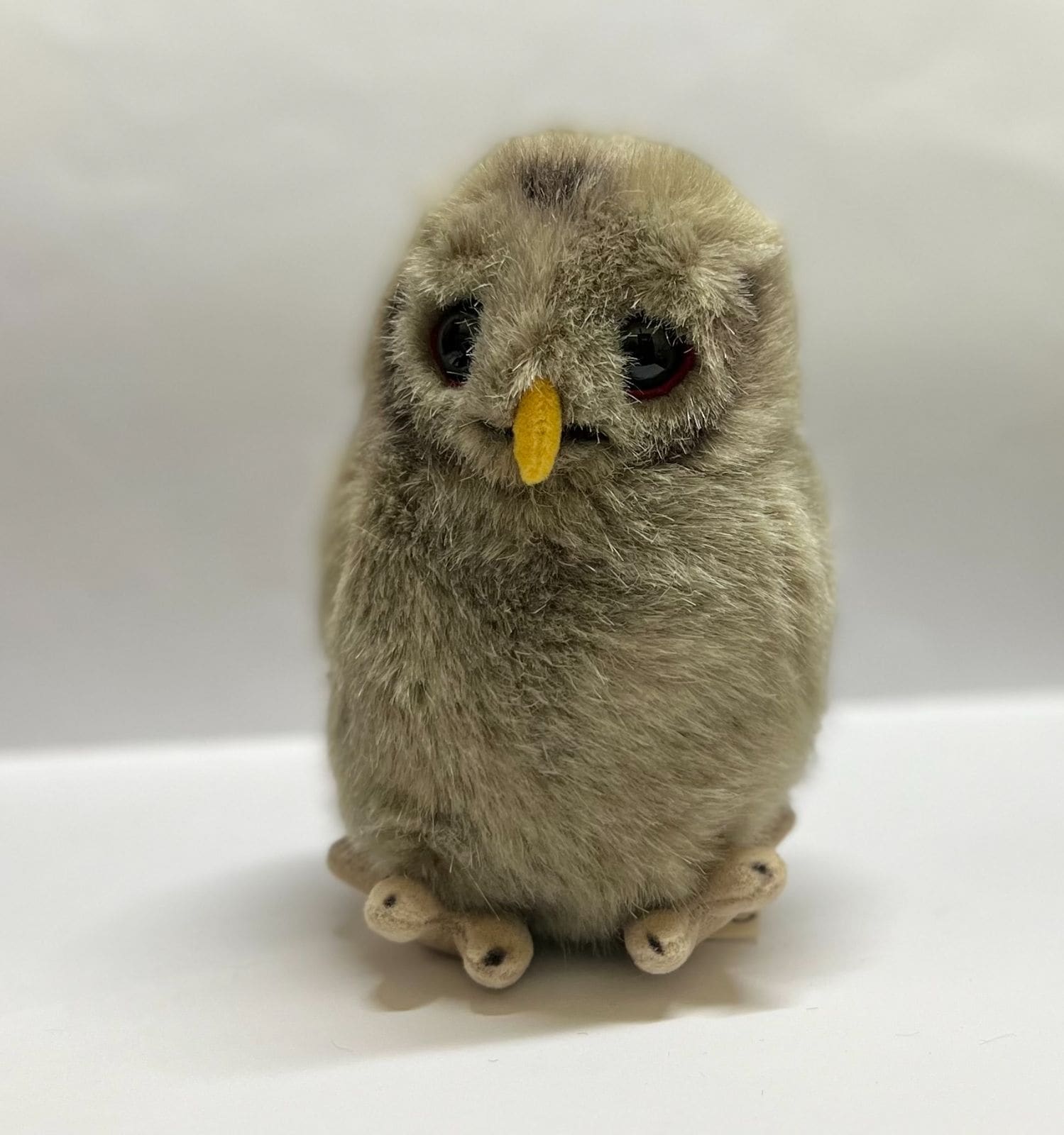 ケーセン モリフクロウの子 | 人形・ぬいぐるみ | 赤ちゃん・ドイツ