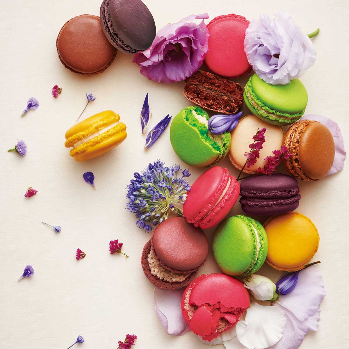 2_000000000641.jpg?1759297156