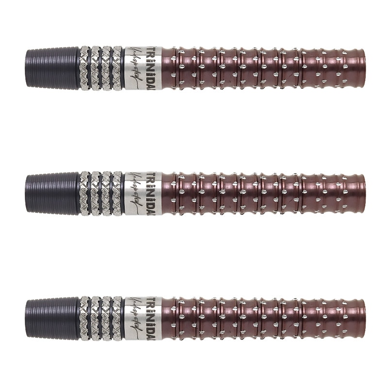 TRINIDAD ダーツ　KID TYPE2 20g ダーツ バレル TRiNiDAD Undisputed KID 2/3 EVO 後藤智弥 選手モデル