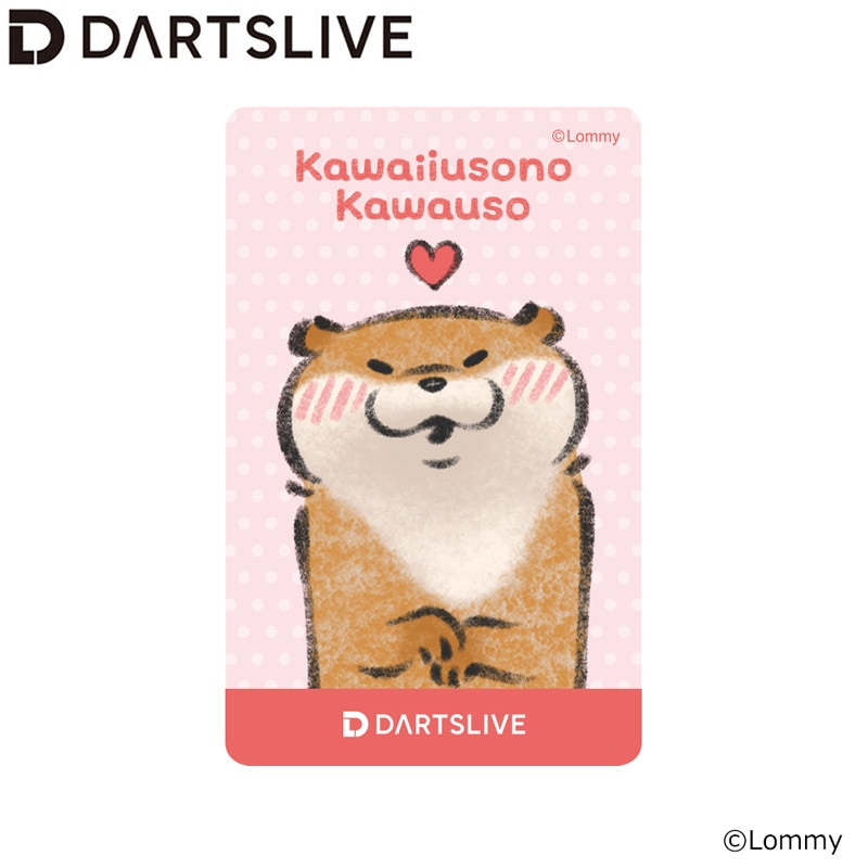DARTSLIVE カード 3枚セット Kawaiiusono Kawauso ダーツライブカード 可愛い嘘のカワウソ DARTSLIVE CARD DARTSLIVE