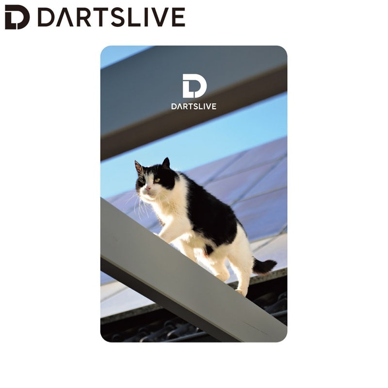 ダーツライブカード　DMC THE WORLD ダーツ DARTSLIVE CARD ライブカード デザイン 花 葉 ハイビスカス