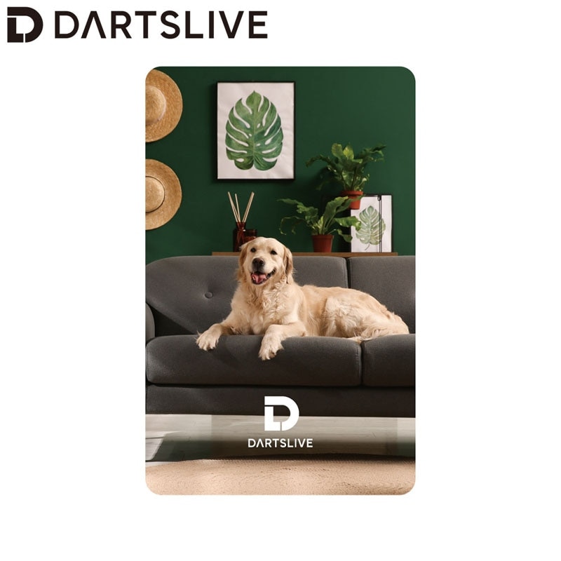 DYNASTY 福袋　DARTSLIVEカードシリアルNo入り100枚限定 ダーツライブカード DARTSLIVE CARD 長州力 長州 ビッグタオル付