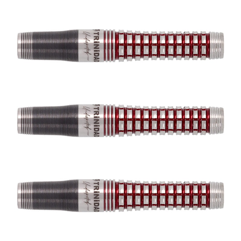 【新品未使用】TRINIDAD ROMERO Type2 ダーツ 岩田夏海モデル ダーツ > ソフトダーツ > ブランド【タ行】 > トリニダード > PRO