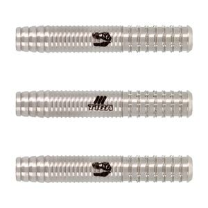 Dynasty Rakkaus 2BA 粕谷晋選手モデル ダーツ > ソフトダーツ > ブランド【タ行】 > ダイナスティー > ASTRA