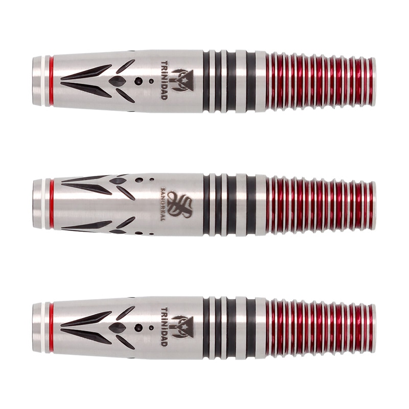 ヴァルメス Valmez サングリアル トリニダード 坂口優希恵 山田勇樹 ダーツ > ソフトダーツ > ブランド【サ行】 > サングリアル > SANGREAL