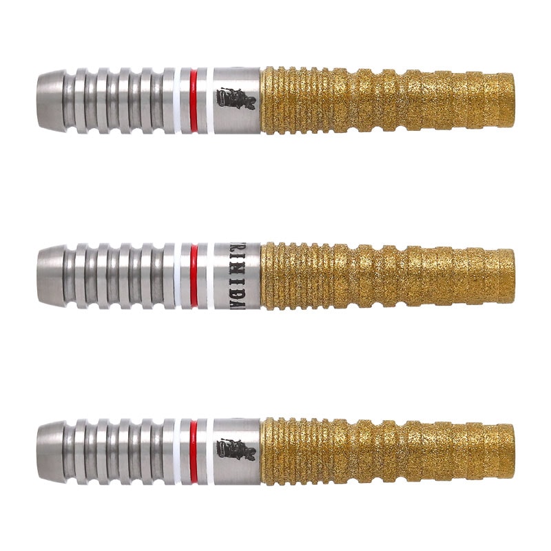 本革ダーツケース（牛革） バレル（山田勇樹選手モデルGOMEZ TYPE13） トリニダード ゴメス13 山田勇樹 GOMEZ TYPE13 ダーツ バレル | ソフト