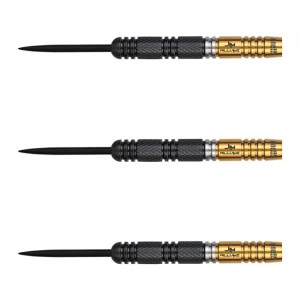 ダーツバレル ワンエイティ One80(ワンエイティ) Raise シリーズ HF(Have Fun) 2BA (ダーツ バレル