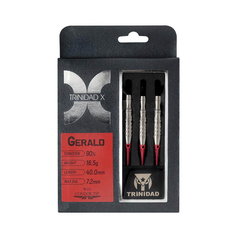 ダーツ TRINIDAD SALDIVAR・ソフト・ハードのセット ダーツ バレル TRiNiDAD PRO Saldivar 中西永吉 選手考案モデル