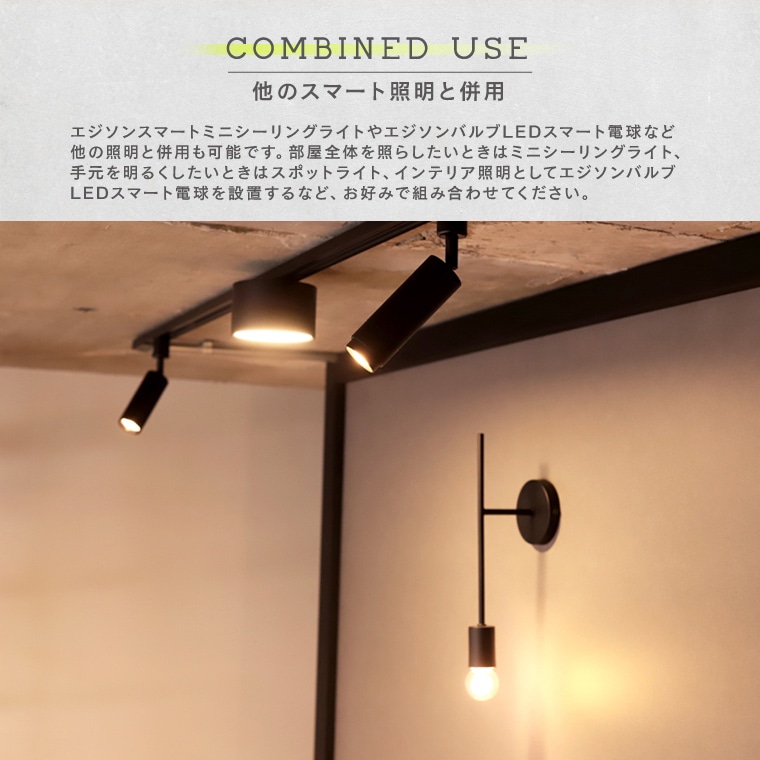エジソンスマート ミニスポットライト ブラック ダクトレール用 RST