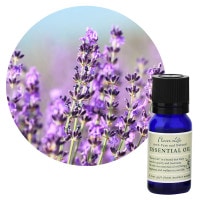 フレーバーライフ】ローズマリー｜エッセンシャルオイル（精油・アロマ