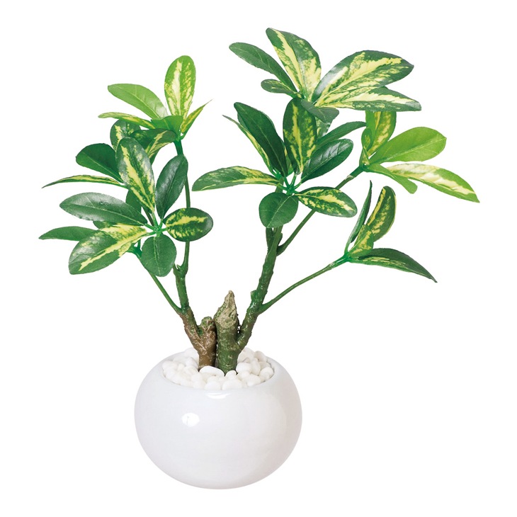 光触媒加工グリーンポット｜ファミリー・ライフ公式通販