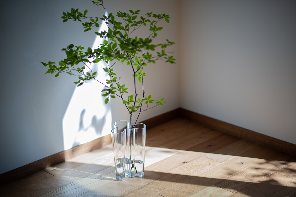 アルヴァ・アアルト ベース（イッタラ／iittala） フリーデザイン