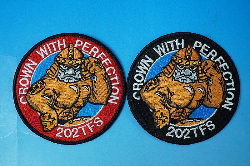ワッペン JASDF 航空自衛隊 第202飛行隊 CROWN WITH PERFECTION 武人
