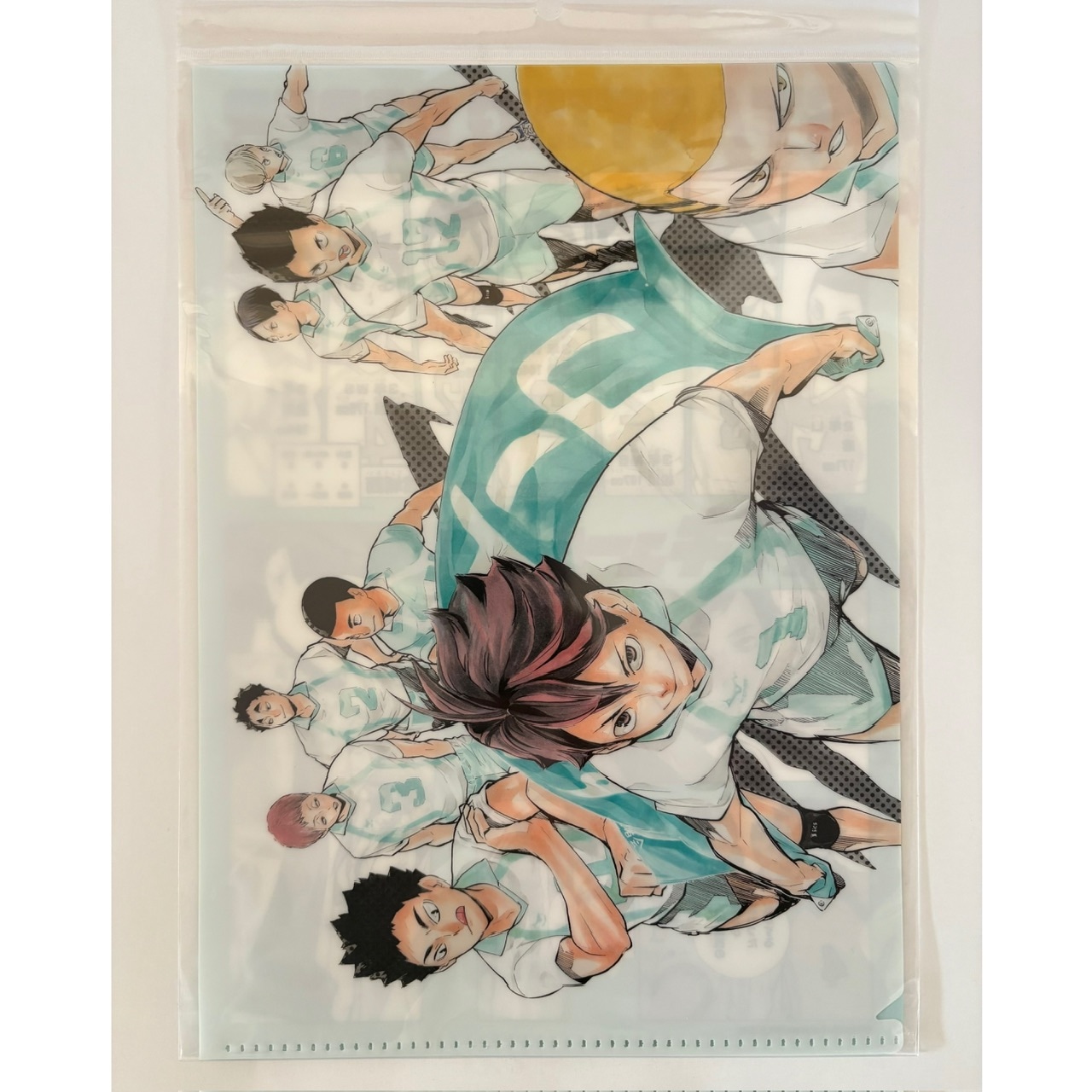 ハイキュー STARTING ORDER クリアファイル【予約】 | ハイキュー