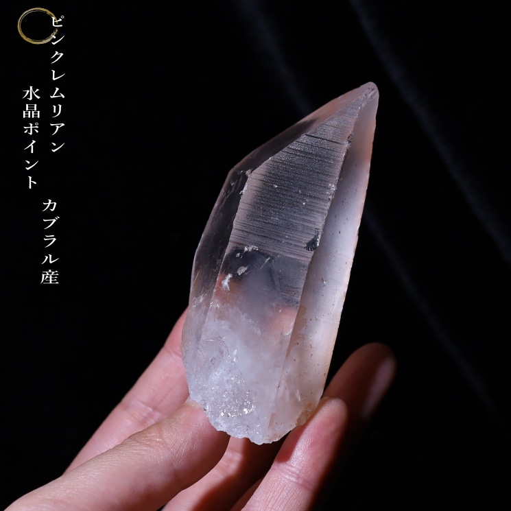 2_000000005534.jpg?1684307915