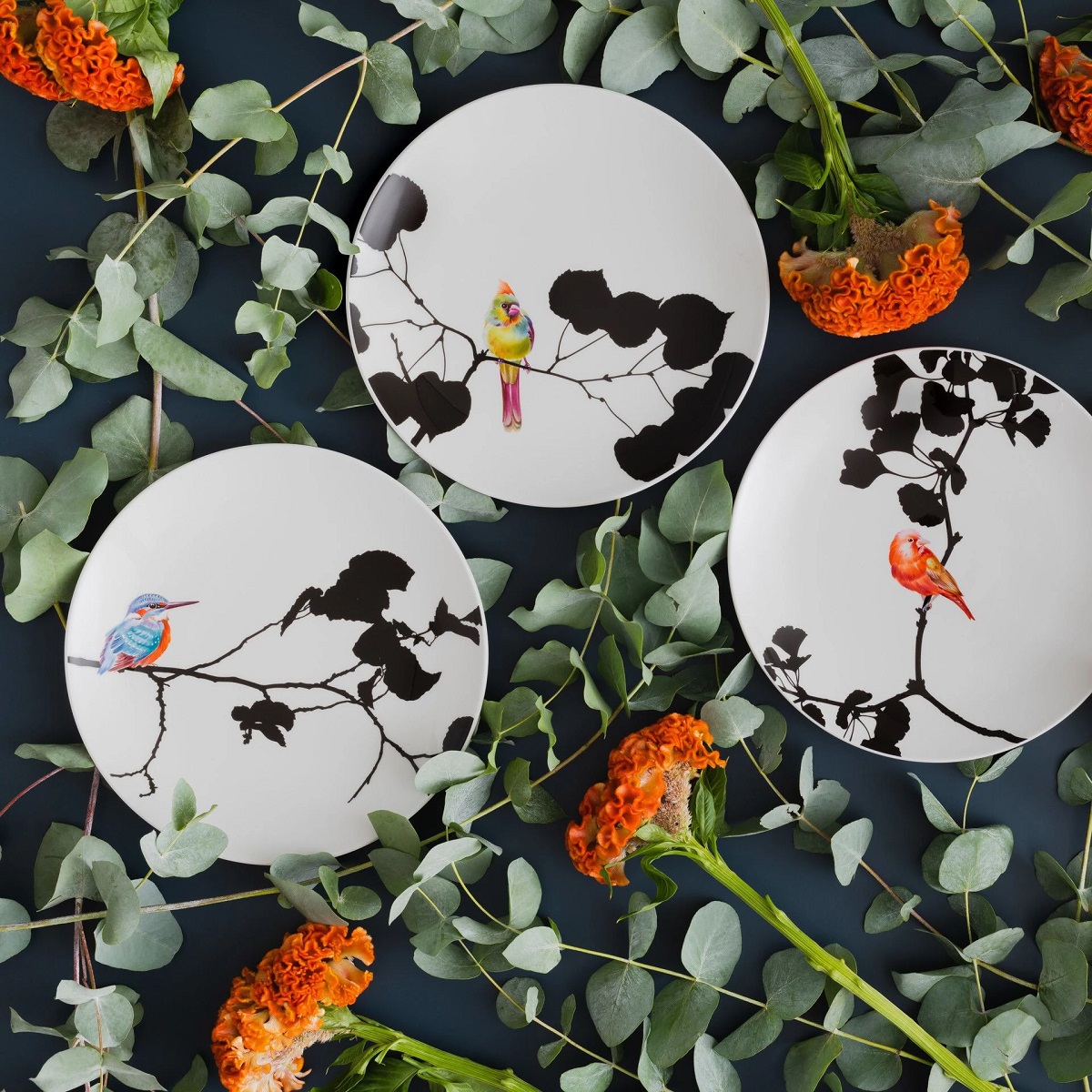 マイセン ナツフウキンチョウ 飾皿 54M49/61A126 | 飾皿 | ドイツの名