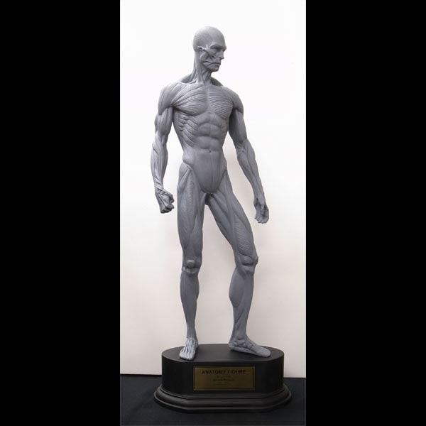 映画グッズ販売専門店ハリコレ。映画グッズが豊富な品揃え。KATAGIRI