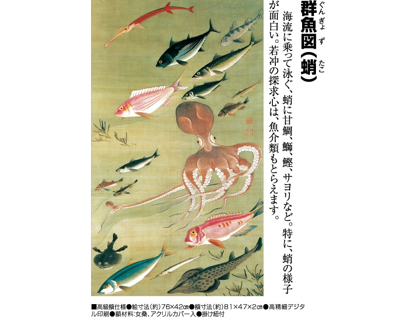 伊藤若冲 動植綵絵 群魚図（蛸） 高級仕様 額 美術品 インテリア 作品