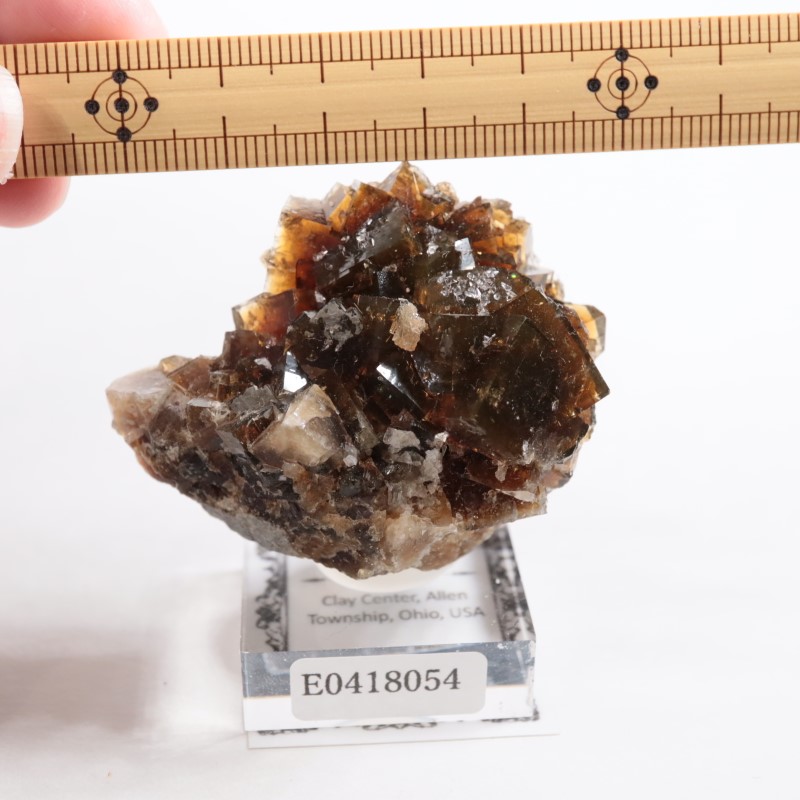 オハイオ州 フローライト | 鉱物標本,ハ行,フローライト/蛍石,フロー