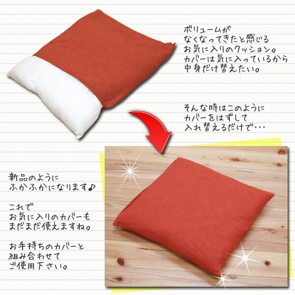 シートクッション ヌード 45×45cm 日本製｜イケヒコ公式通販