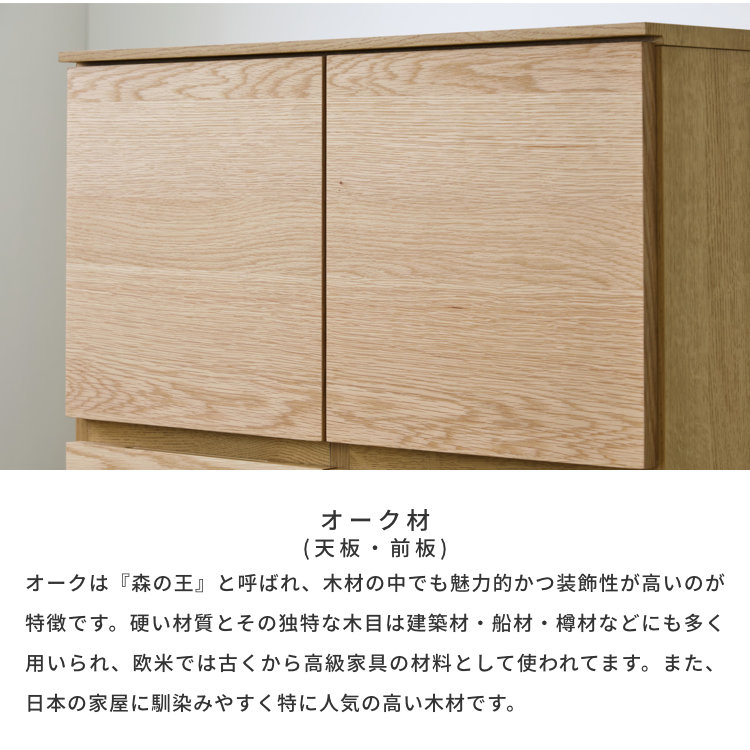 ISSEIKI CAMPUS-2 CABINET 73 (WO-V-NA) | 【公式オンラインショップ