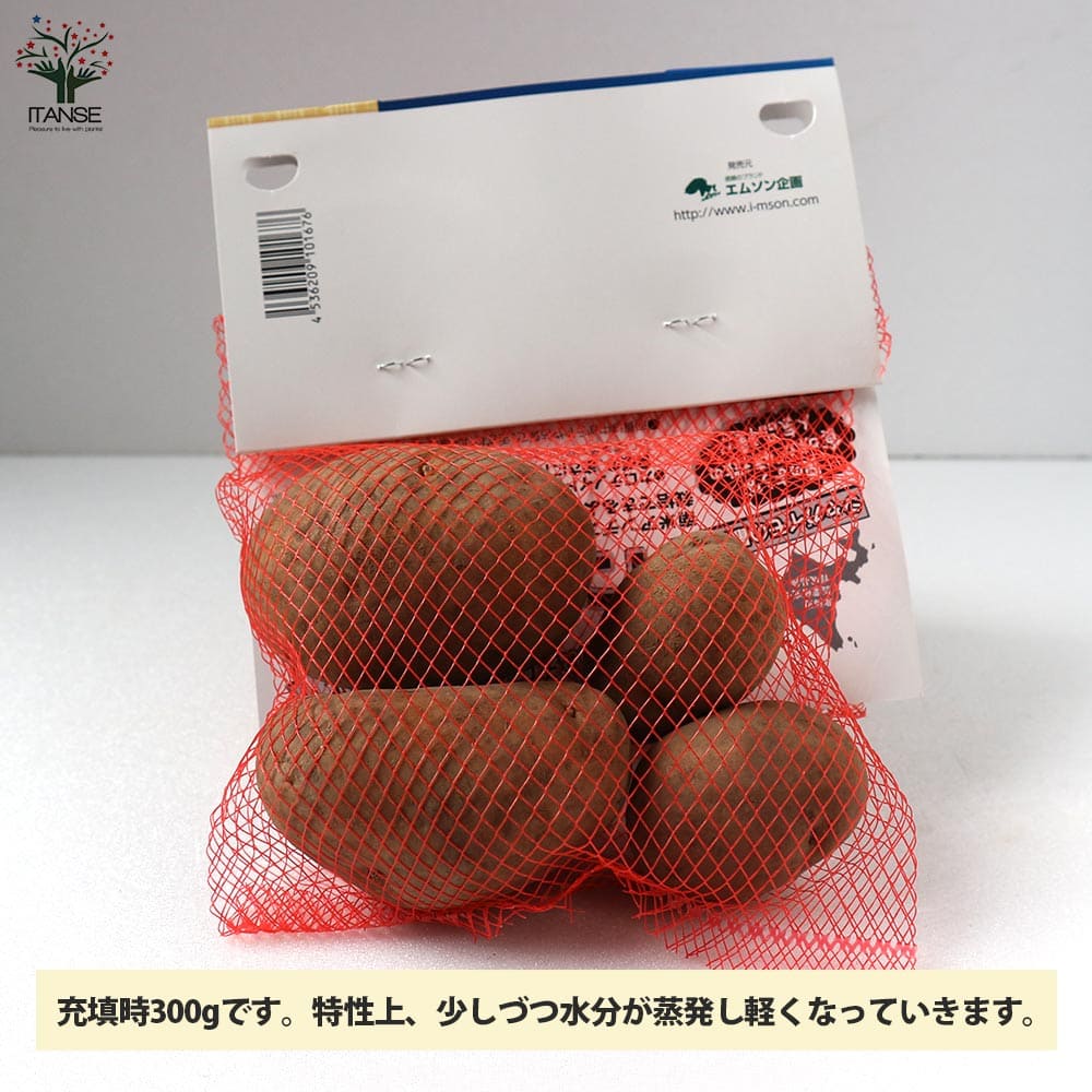 じゃがいもの種芋 インカのめざめ【野菜の苗 ネット詰め 300g入り(充填