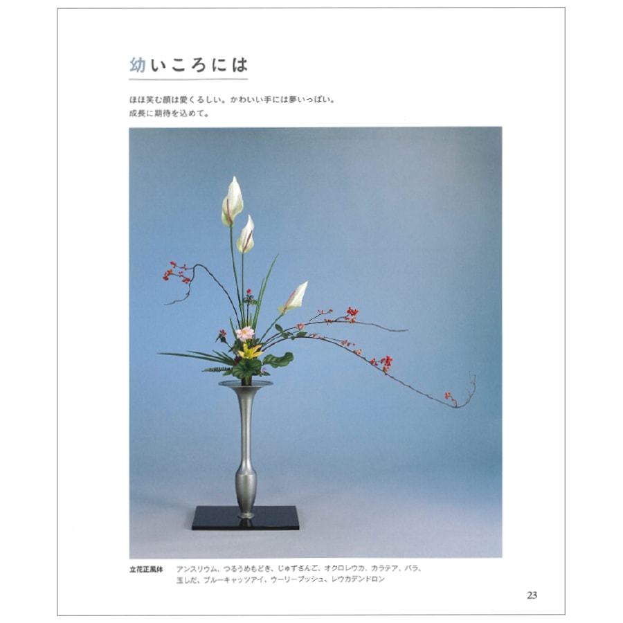 花に恋して [監修] 池坊専永 / [著] 中村福宏 | 書籍,作品集