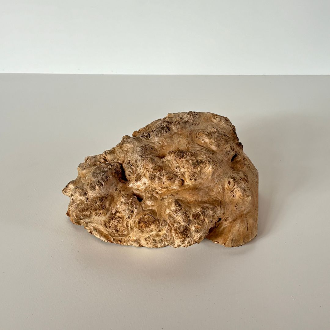 木の瘤(こぶ) 樺の木 高さ約8cm 幅約18cm 2024102301｜木の瘤｜木材