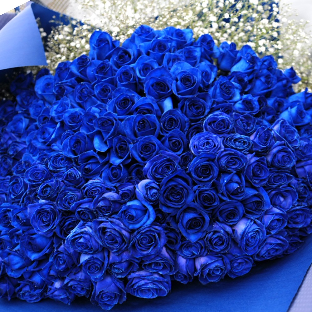 青いバラ300本 キラキラかすみ草付きの花束 | 色から探す,青,青いバラ