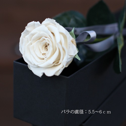 白いバラ プリザーブドフラワー 縦長BOXギフト | すべての商品