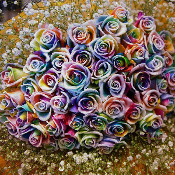 スノーレインボーローズ 50本の花束 | バラ・生花,スノーレインボー