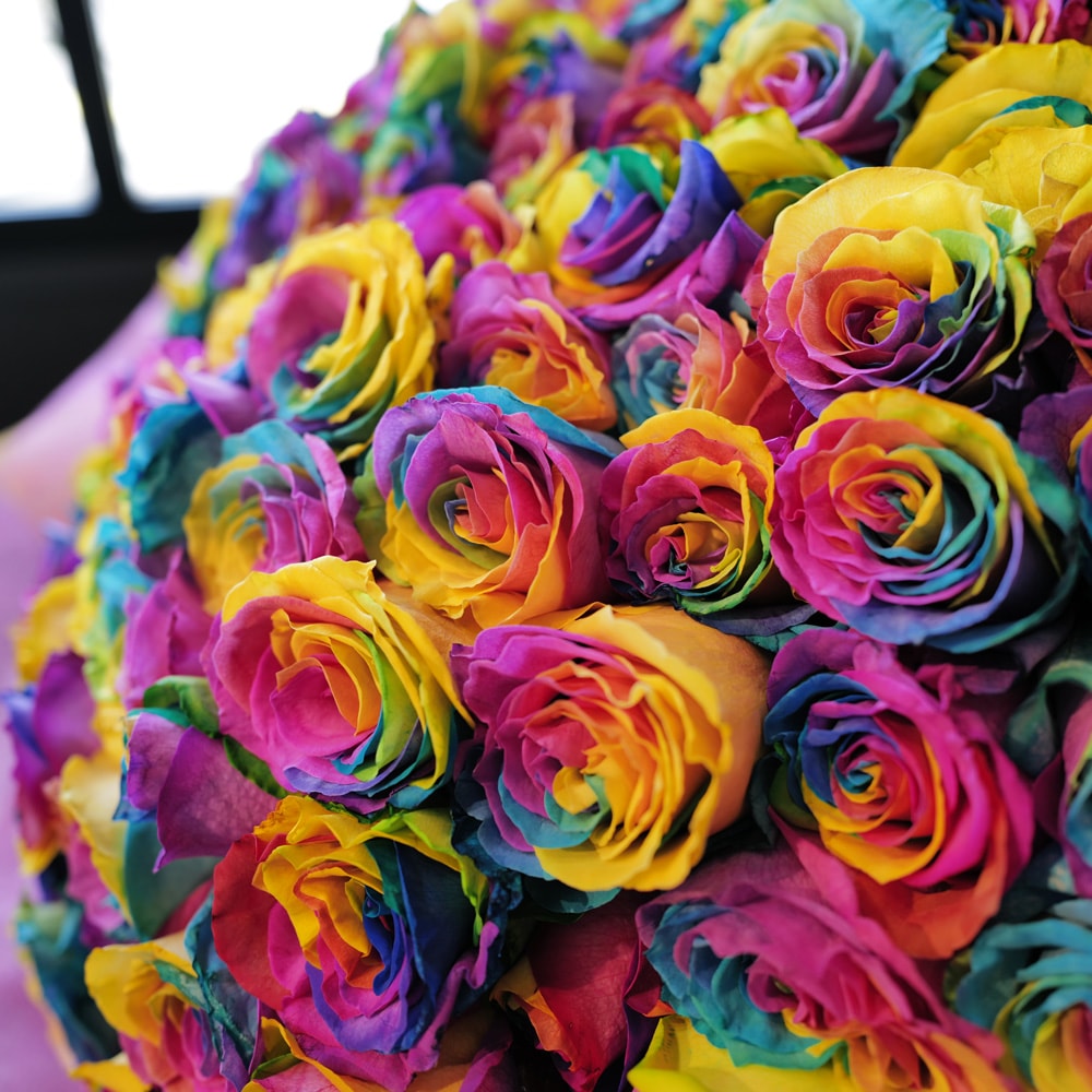 レインボーローズ200本の花束 | バラ・生花,レインボーローズ,花束
