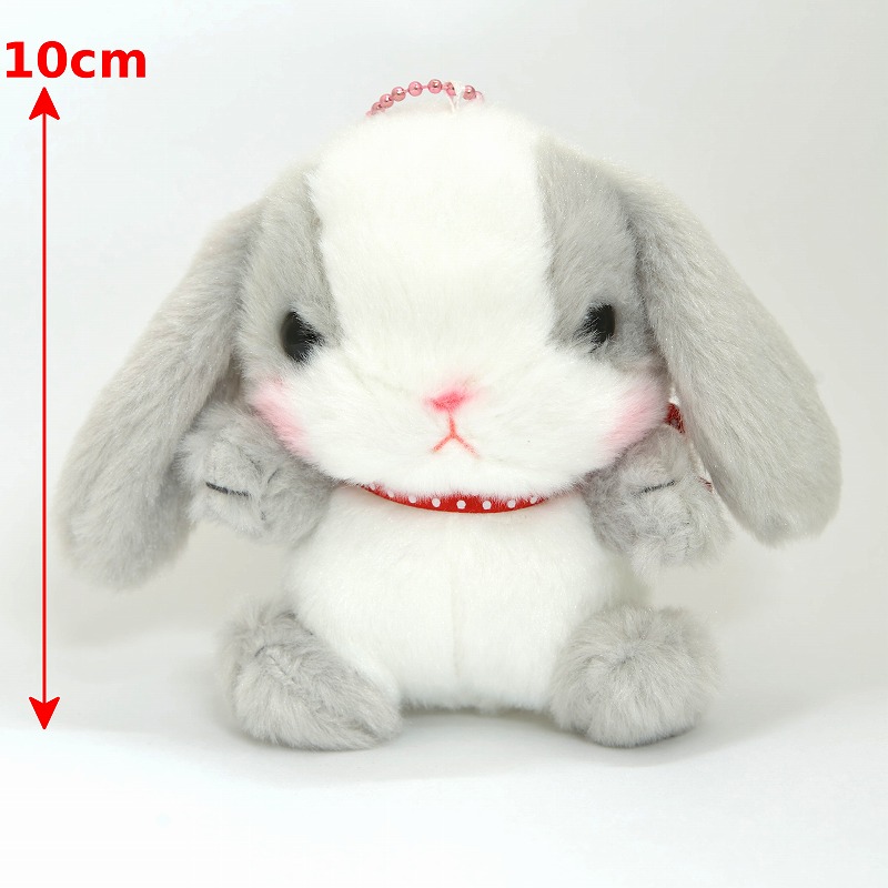 ぽてうさろっぴー LMC ぱんぴー | うさぎ専門店ラッキーハート- うさぎ