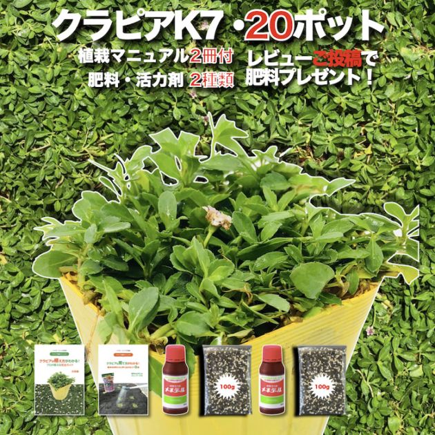 レビュー特典あり】 すくすくシートセット シート14平米+J字型ピン100