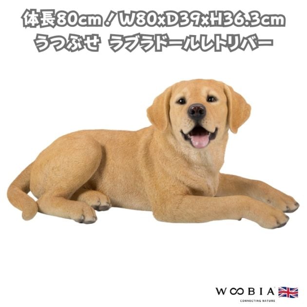 置物 うつぶせ ラブラドール レトリバー 犬 いぬ 高さ36.3cm woobia