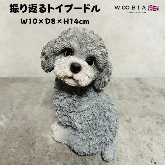 かわいい 犬 置物 振り返るトイプードル グレー 小 woobia ウービア