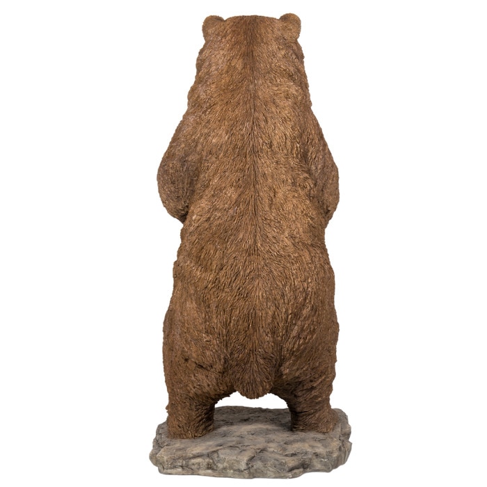 4_000000001985.jpg?1731314037